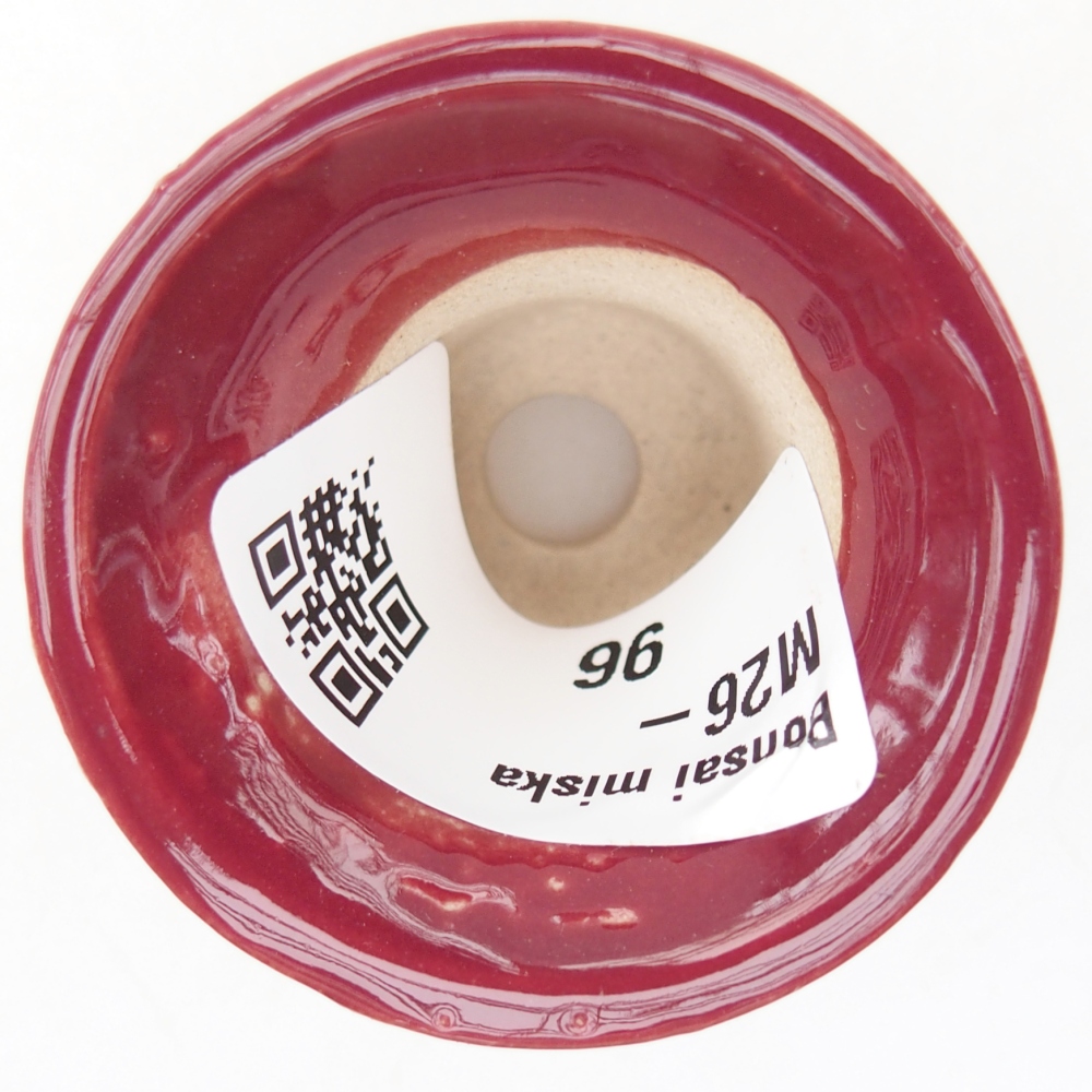 Mini bonsaischaal 4,5 x 4,5 x 4 cm, kleur bordeauxrood