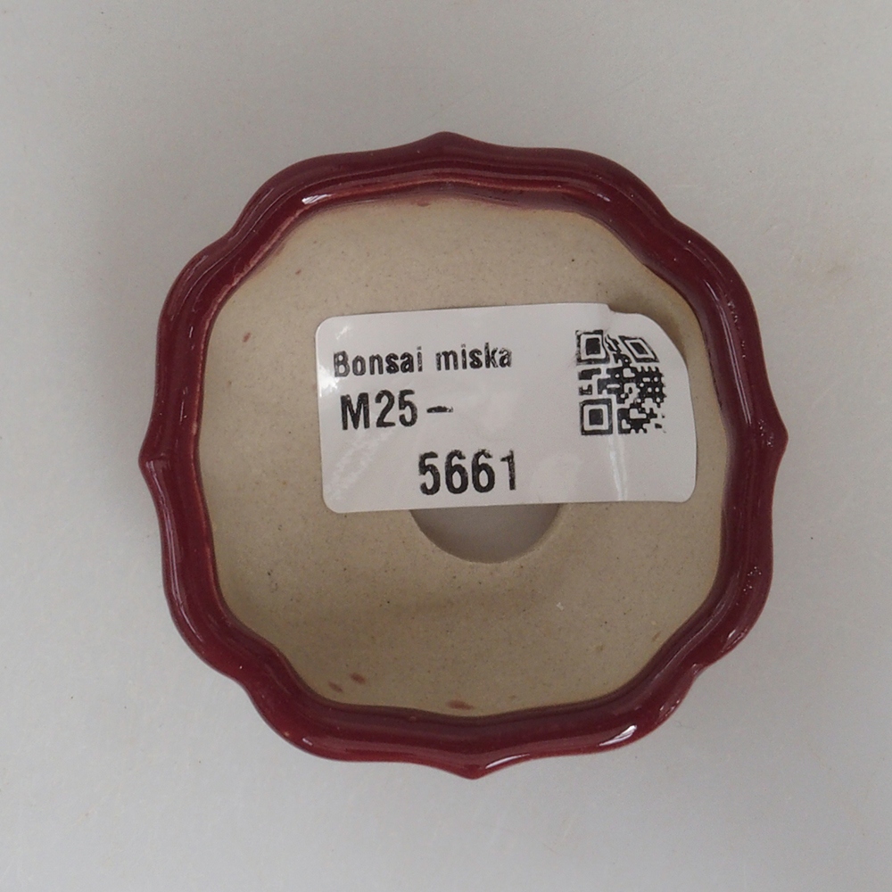 Mini bonsaischaal 5,5 x 5,5 x 2,5 cm, bordeauxrood