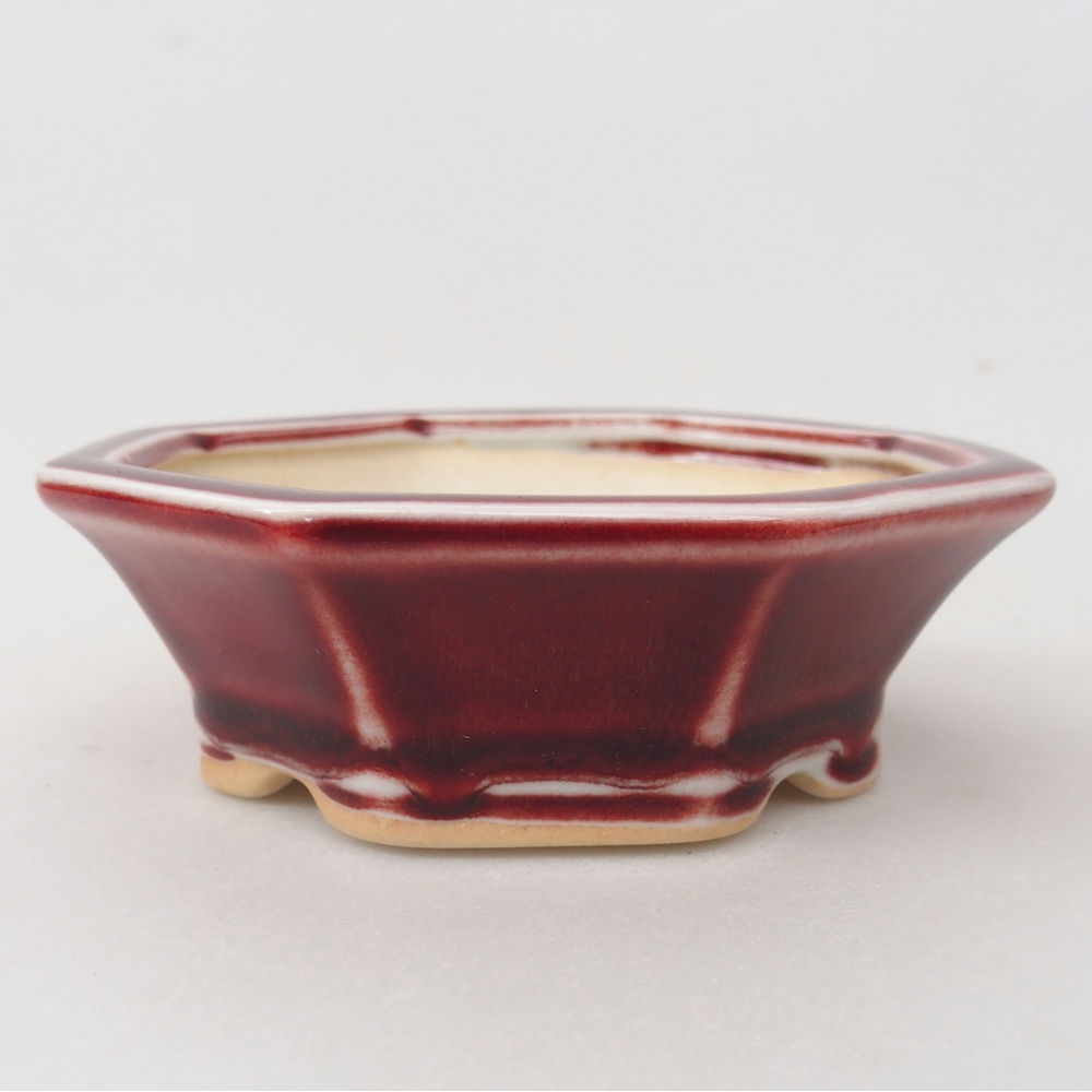 Mini bonsaischaal 11 x 10 x 3,5 cm, kleur rood