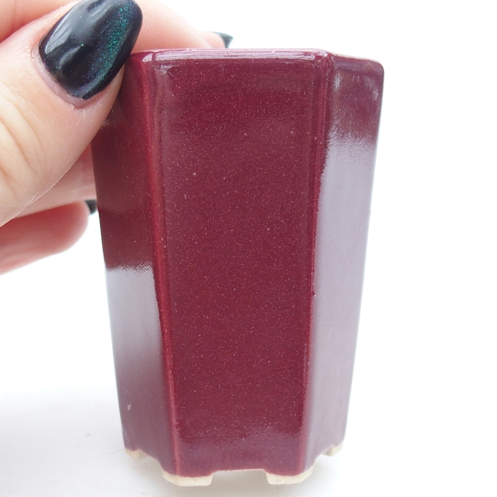 Mini bonsaischaal 5 x 4,5 x 6,5 cm, bordeauxrood