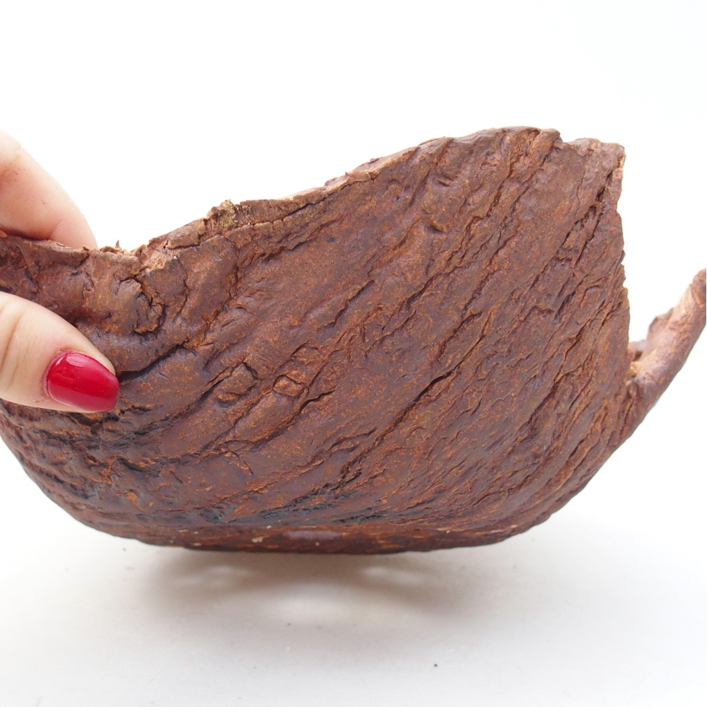 Schelp van keramiek 20 x 20 x 8 cm , kleur bruin