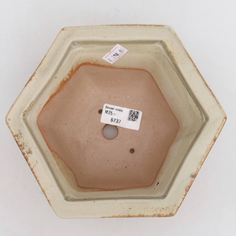 Bonsaischaal van keramiek 18,5 x 16,5 x 9 cm, groen