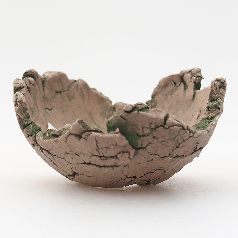 Keramische schelp 7 x 7 x 4 cm , kleur groen
