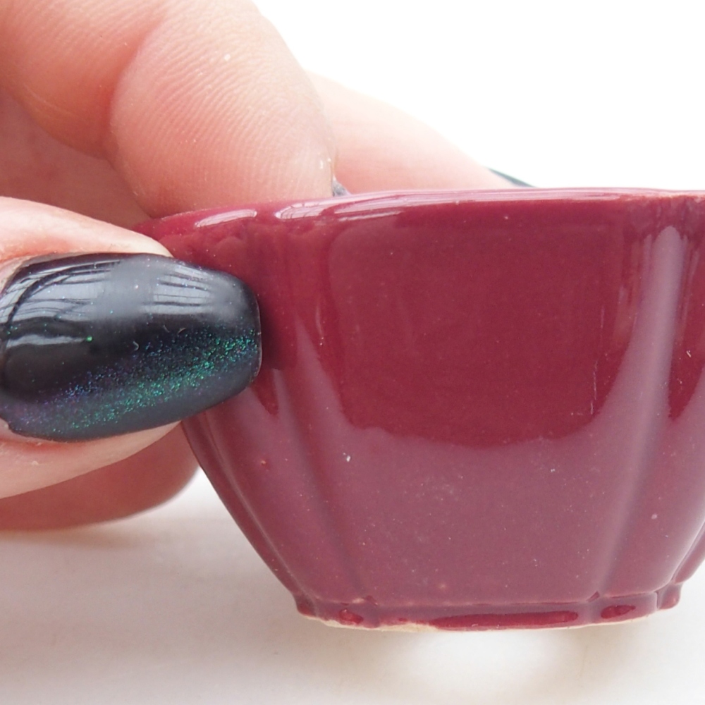 Mini bonsaischaal 4,5 x 4,5 x 2,5 cm, bordeauxrood