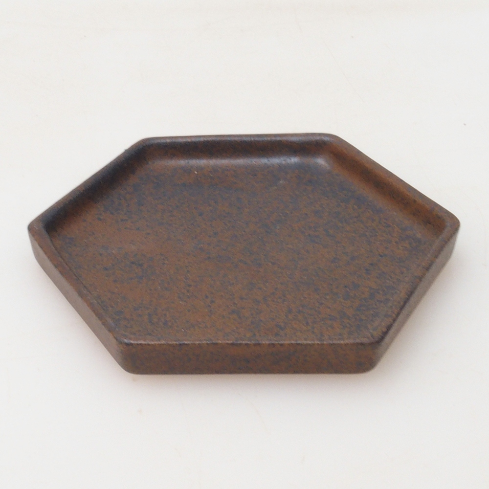 Bonsai zeshoek D3 - 11 x 9,5 x 1 cm - bruin