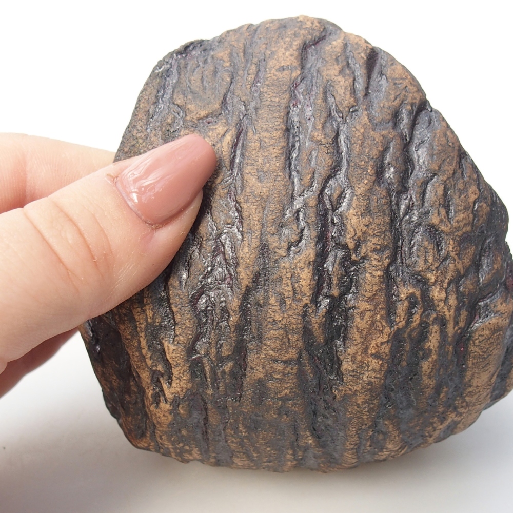 Keramisch Schelp 10 x 9 x 10 cm , kleur bruin