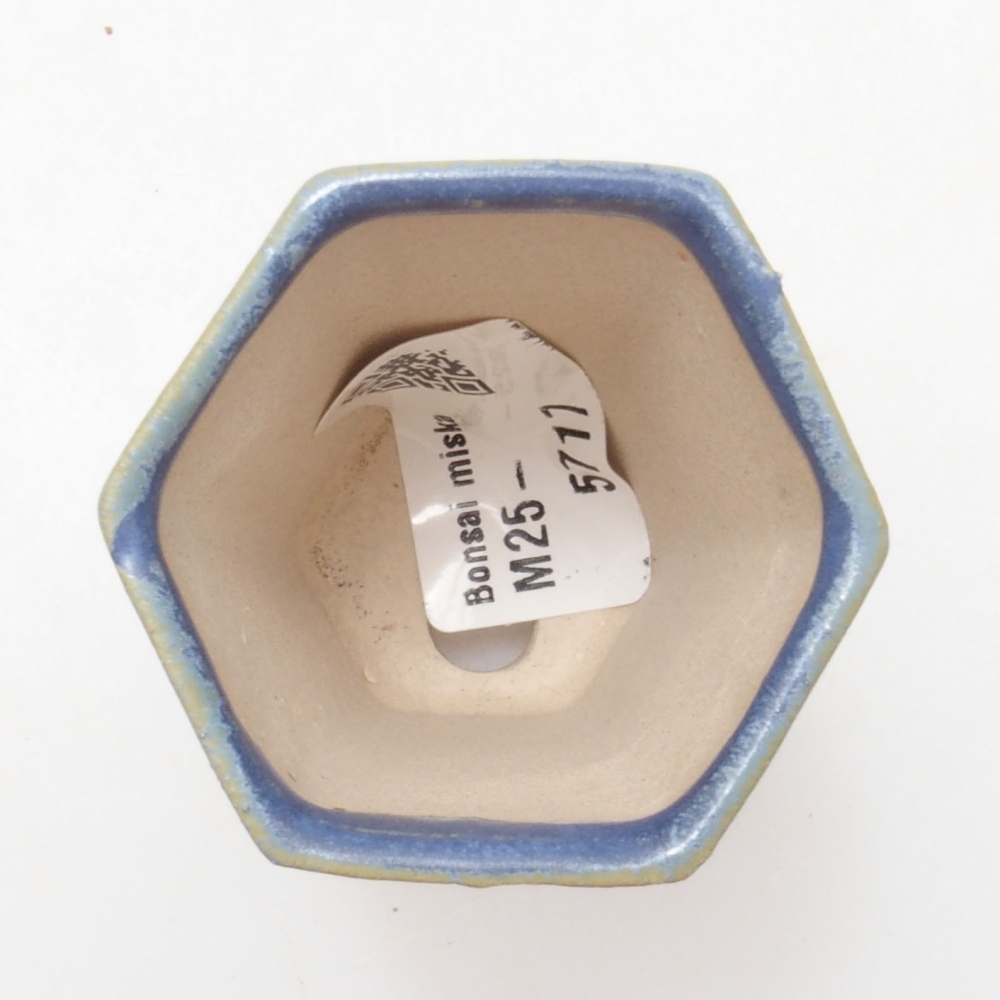 Mini bonsaischaal 4,5 x 4,5 x 6,5 cm, kleur blauw