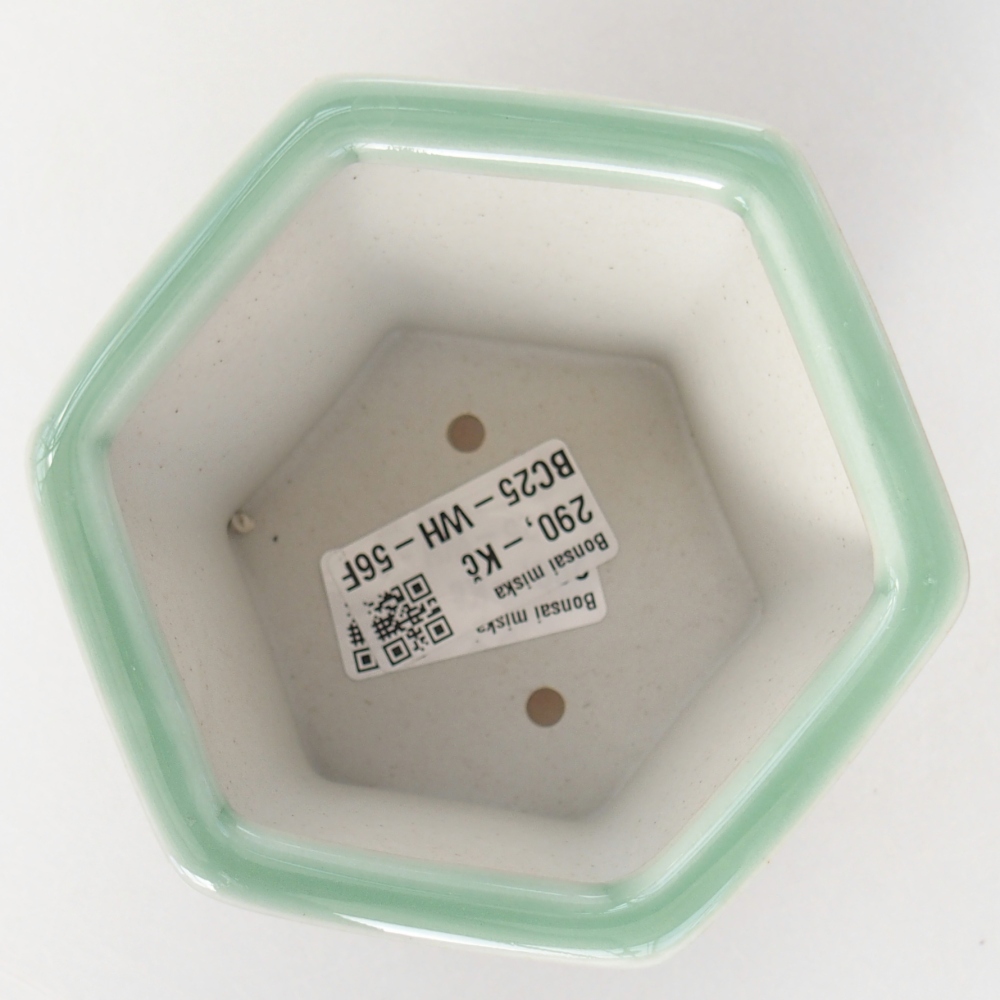 Bonsaischaal van keramiek 10,5 x 9,5 x 8,5 cm, groen