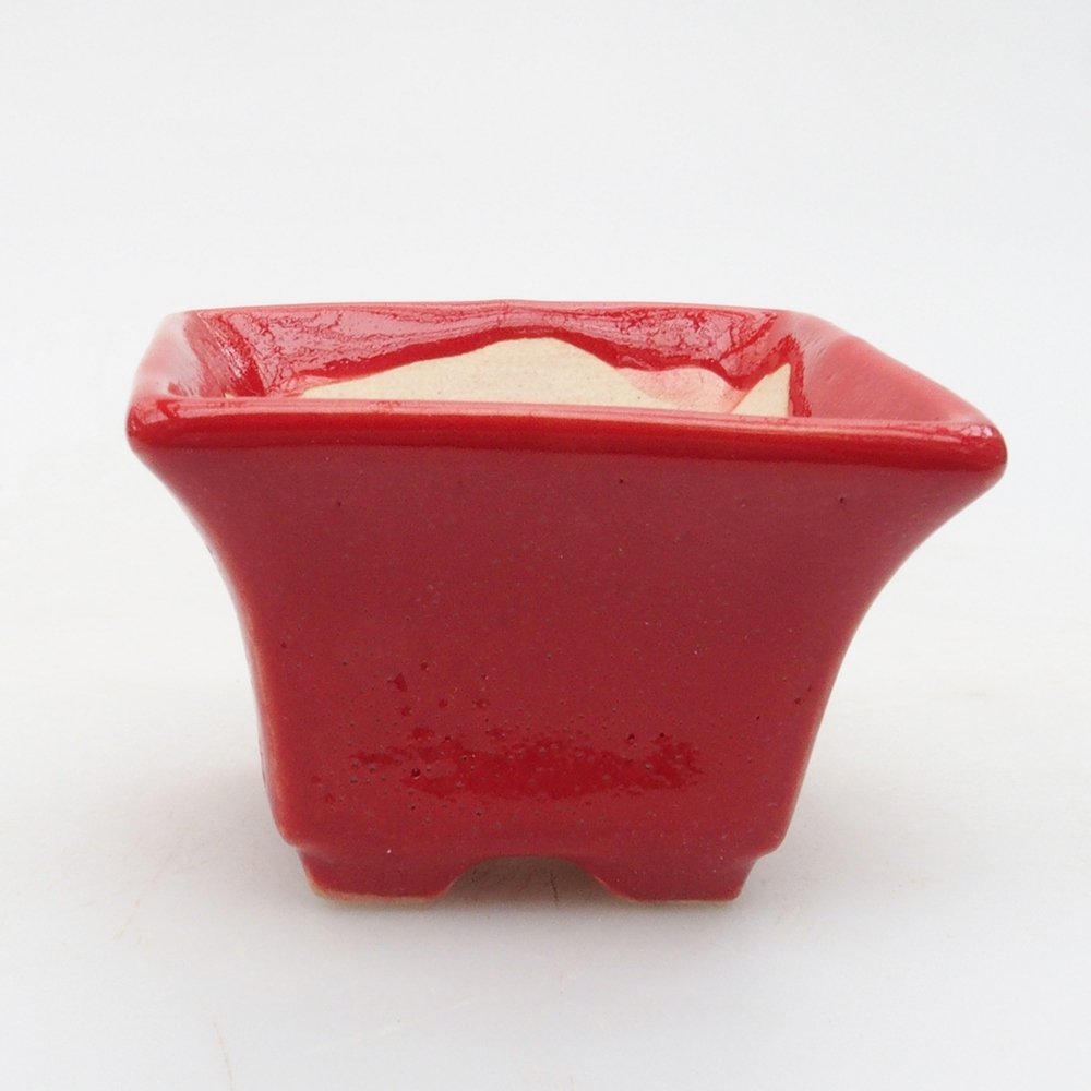 Mini bonsaischaal 5,5 x 5,5 x 3,5 cm, kleur rood