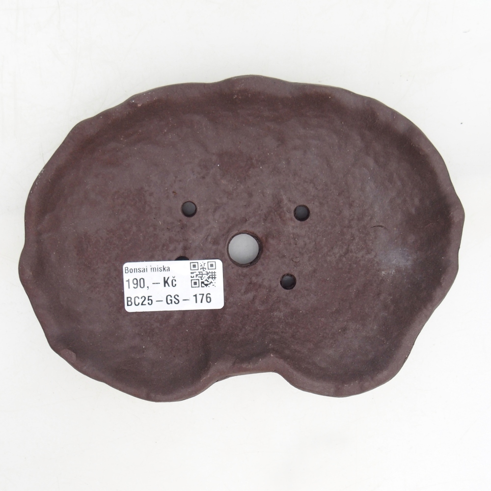 Keramisch Schelp 17 x 12 x 3 cm , kleur bruin