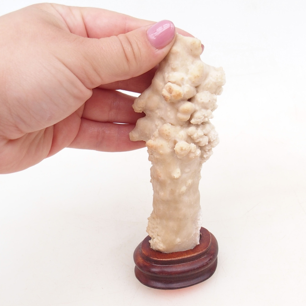 Suiseki - Steen met DAI (houten basis)