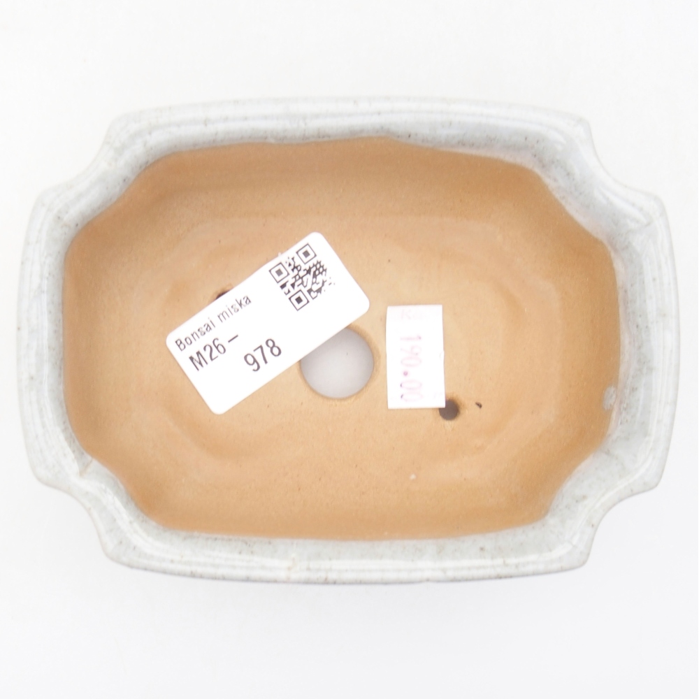 Bonsaischaal van keramiek 11,5 x 8,5 x 4 cm, kleur beige