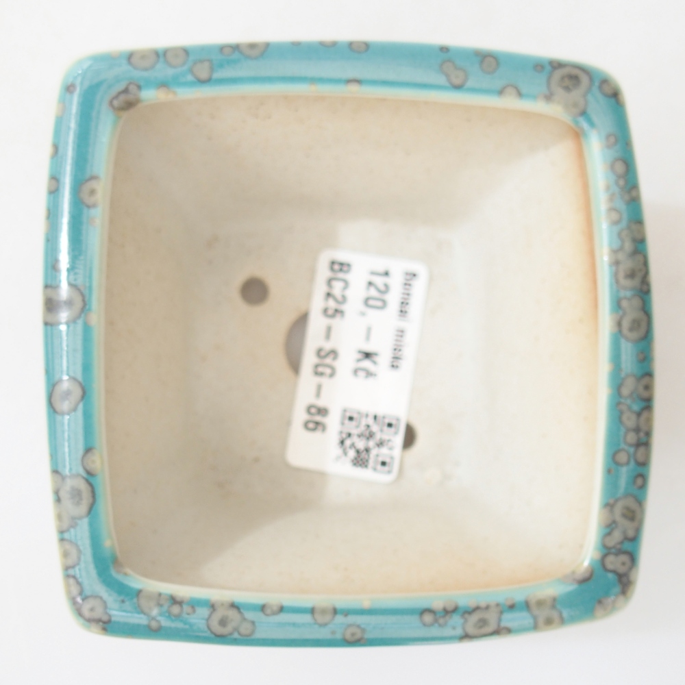 Kom 8,5 x 8,5 x 6 cm blauw