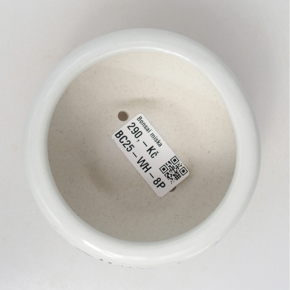 Bonsaischaal van keramiek 10 x 10 x 5 cm, kleur wit