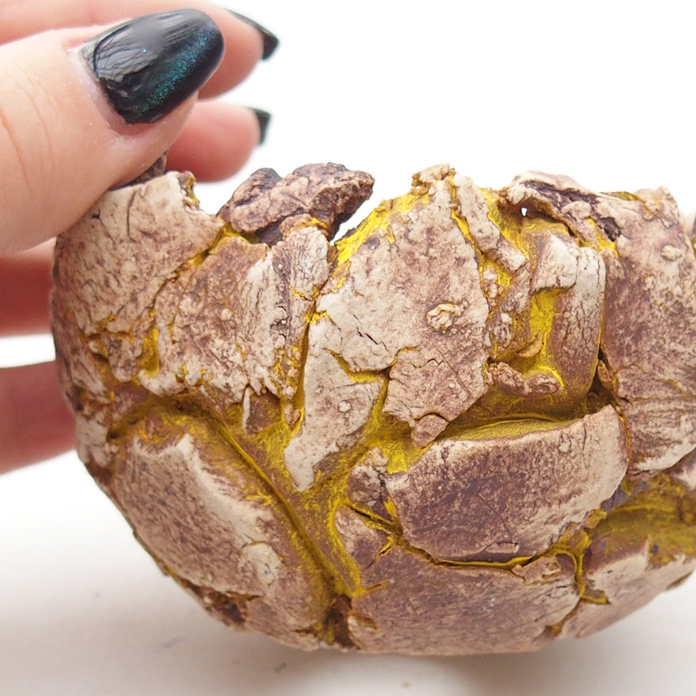 Keramisch Schelp 9,5 x 9 x 7 cm , kleur geel