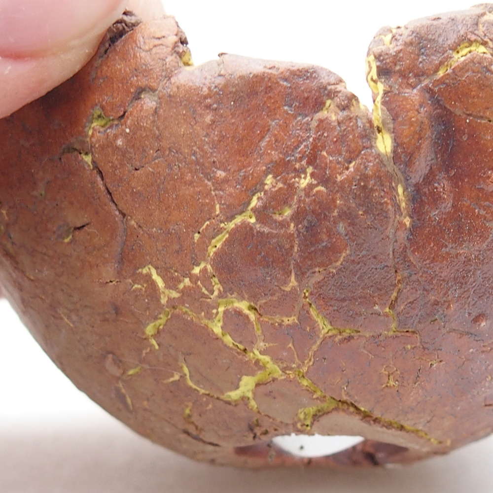 Keramisch Schelp 7 x 6,5 x 4 cm , kleur geel