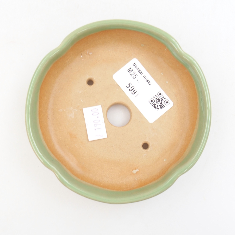 Bonsaischaal van keramiek 22 x 17 x 5 cm, groen