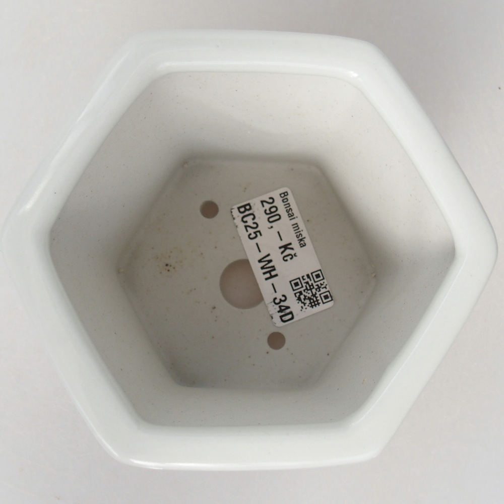 Bonsaischaal van keramiek 10,5 x 9,5 x 9 cm, kleur wit