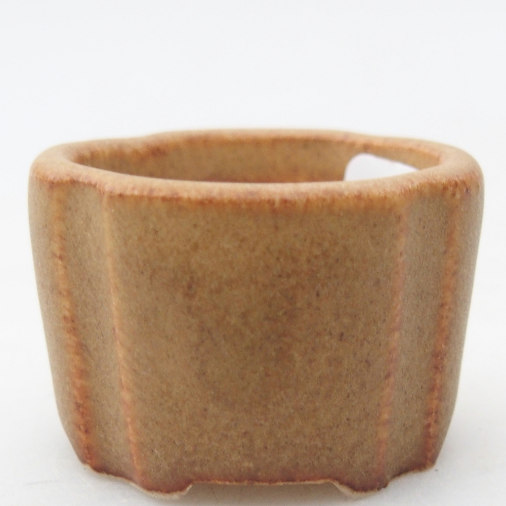 Mini bonsaischaal 3,5 x 3,5 x 2,5 cm, bruin