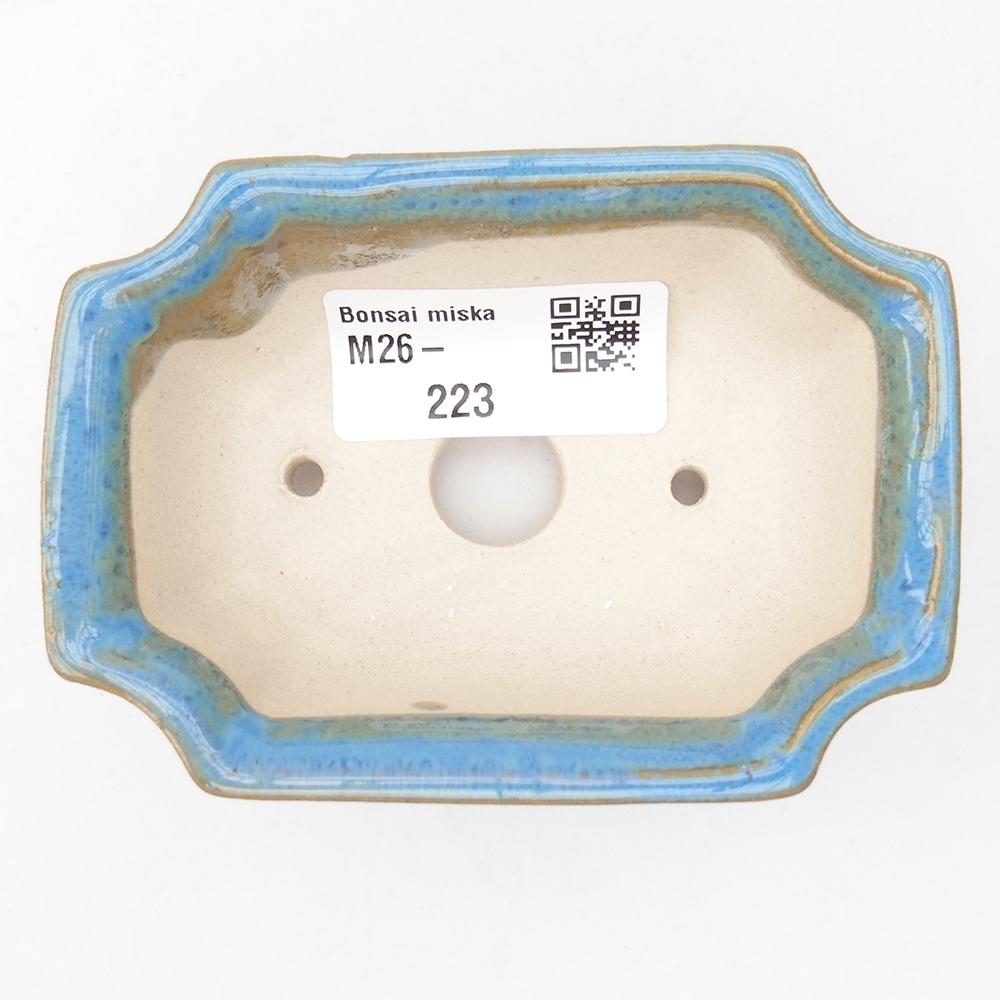 Mini bonsaischaal 9 x 6,5 x 3,5 cm, kleur blauw