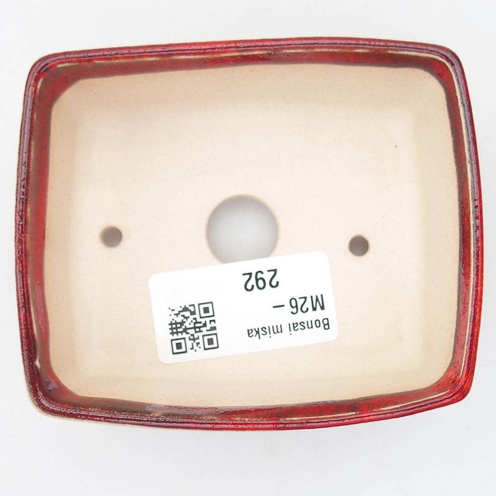 Mini bonsaischaal 9 x 7,5 x 3,5 cm, kleur rood
