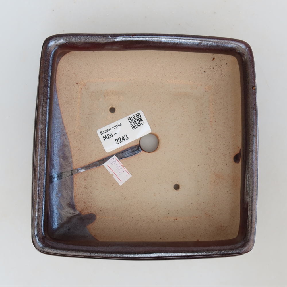 Bonsaischaal van keramiek 15,5 x 15,5 x 6 cm, bruin