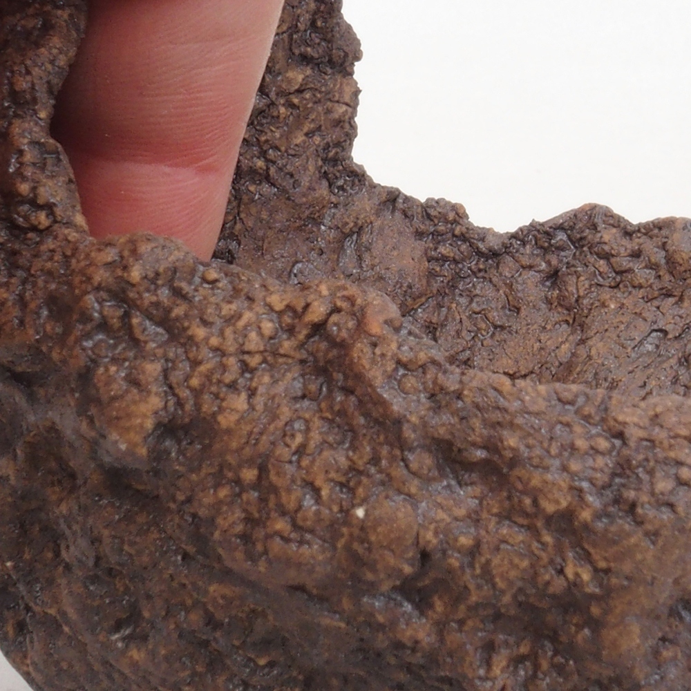 Keramisch Schelp 9 x 8 x 9,5 cm , kleur bruin