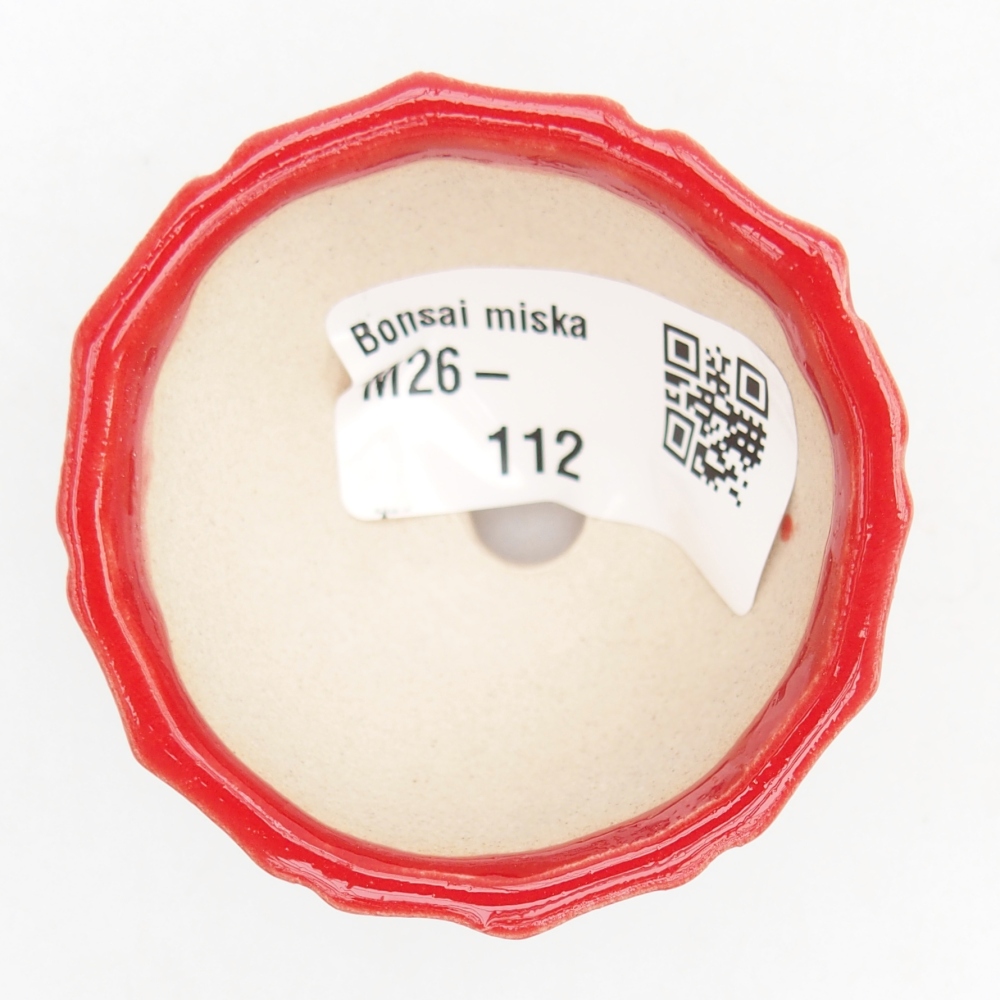 Mini bonsaischaal 5,5 x 5,5 x 3,5 cm, kleur rood