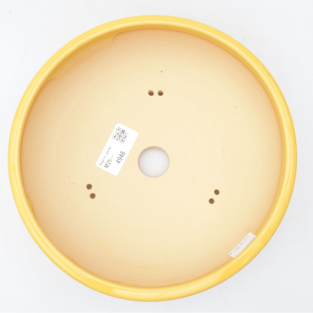 Bonsaischaal van keramiek 20,5 x 20,5 x 6 cm, geel