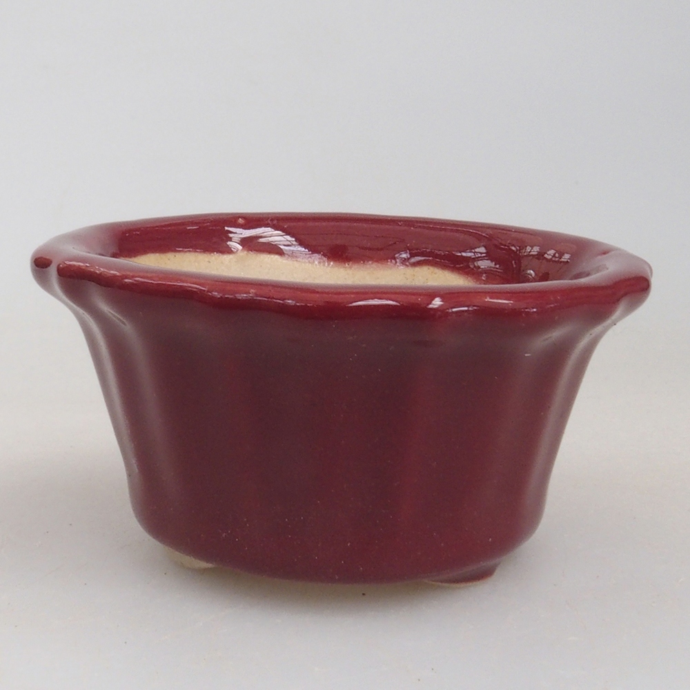 Mini bonsaischaal 5 x 5 x 2,5 cm, kleur bordeauxrood