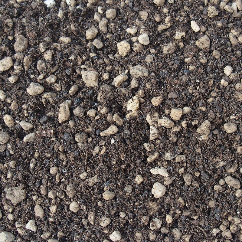 Bonsai Master Bonsai Master 2 liter