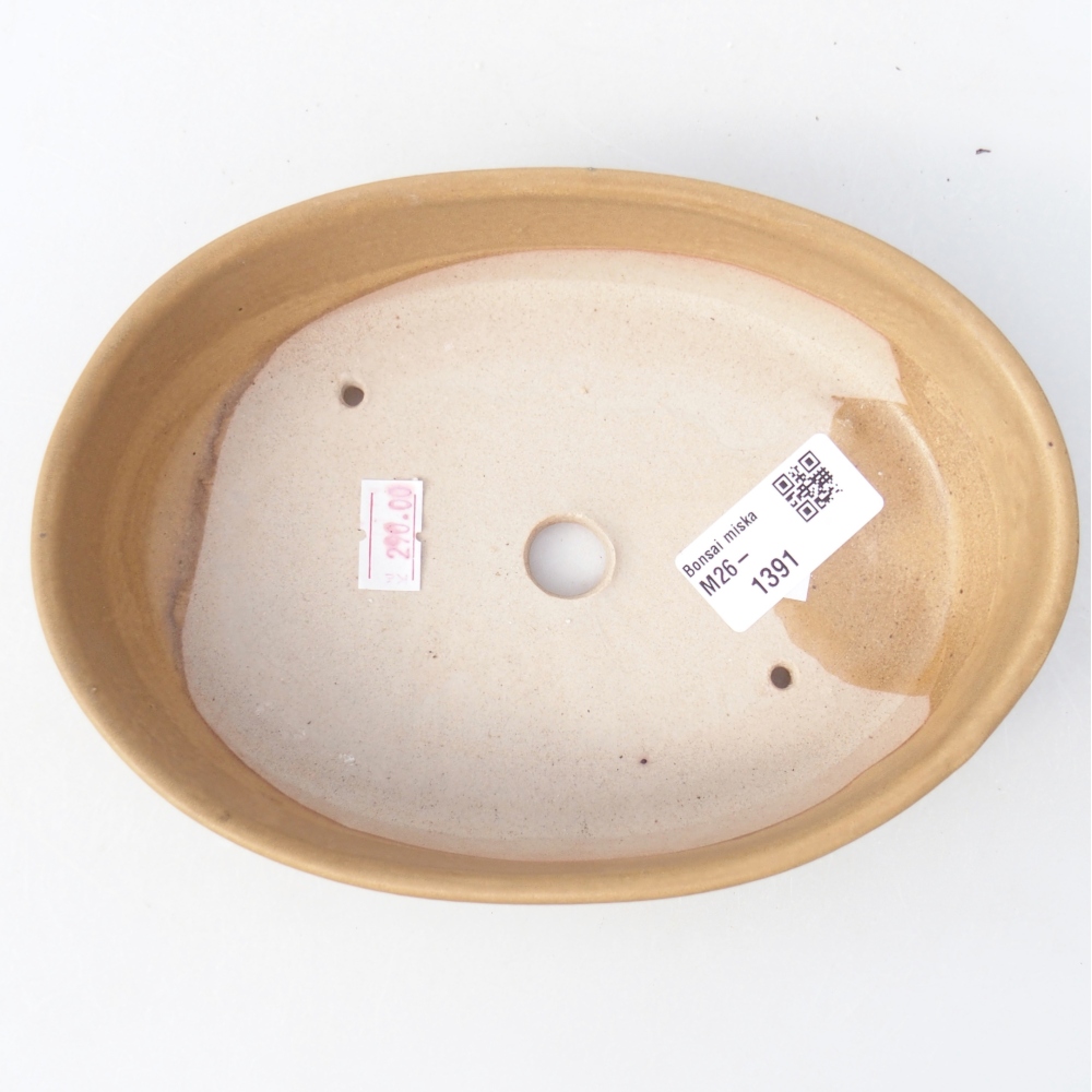 Bonsaischaal van keramiek 18,5 x 13,5 x 4,5 cm, kleur beige