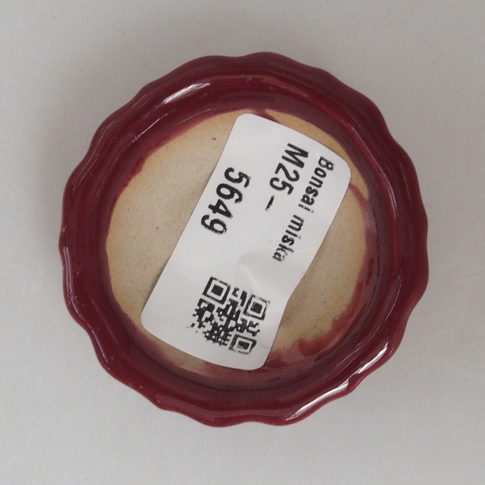 Mini bonsaischaal 5 x 5 x 1,5 cm, kleur bordeauxrood
