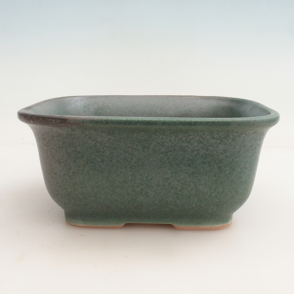 Bonsai kom + schotel H36 - 17 x 15 x 7,5 cm - groen