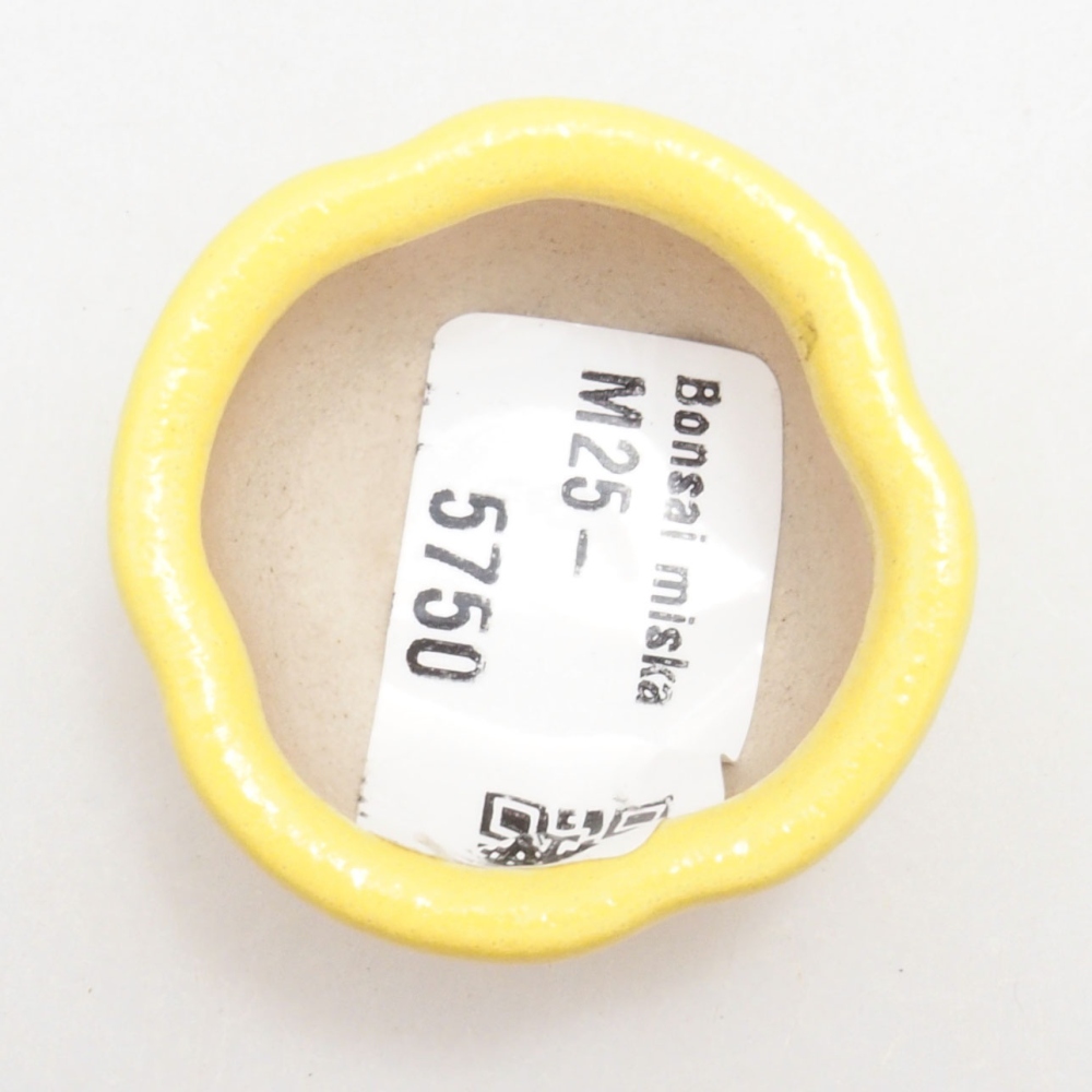 Bonsaischaaltje van keramiek 4 x 4 x 2 cm, geel