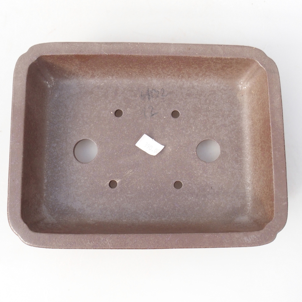 Schaal 21 x 16 x 4 cm naturel