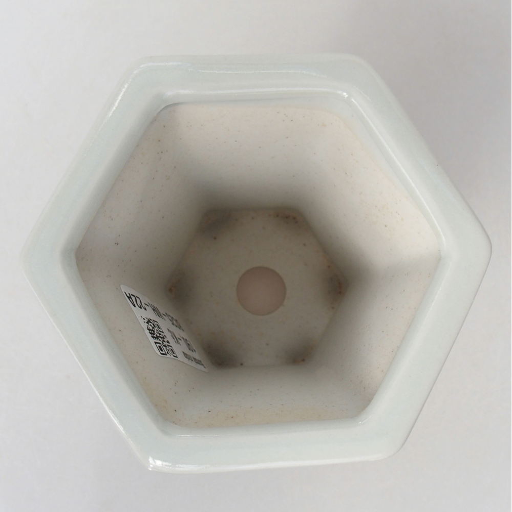 Bonsaischaal van keramiek 10 x 9 x 9 cm, kleur wit