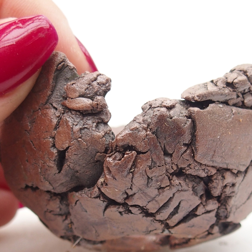 Keramische schelp 6 x 6 x 4 cm , kleur bruin