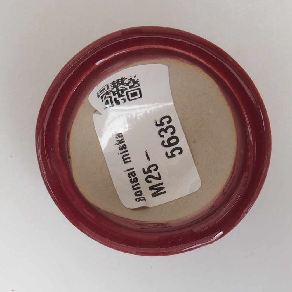 Mini bonsaischaal 4,5 x 4,5 x 2,5 cm, bordeauxrood